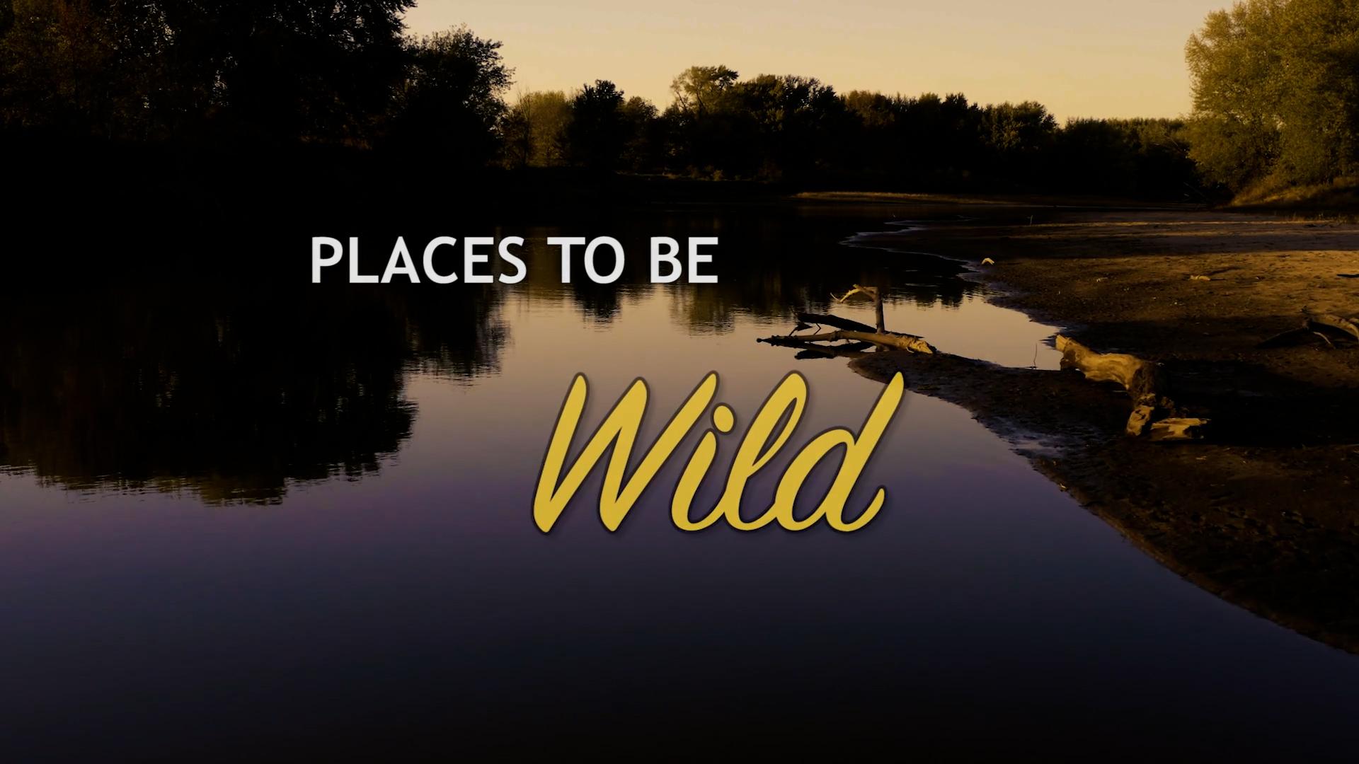 Places To Be Wild