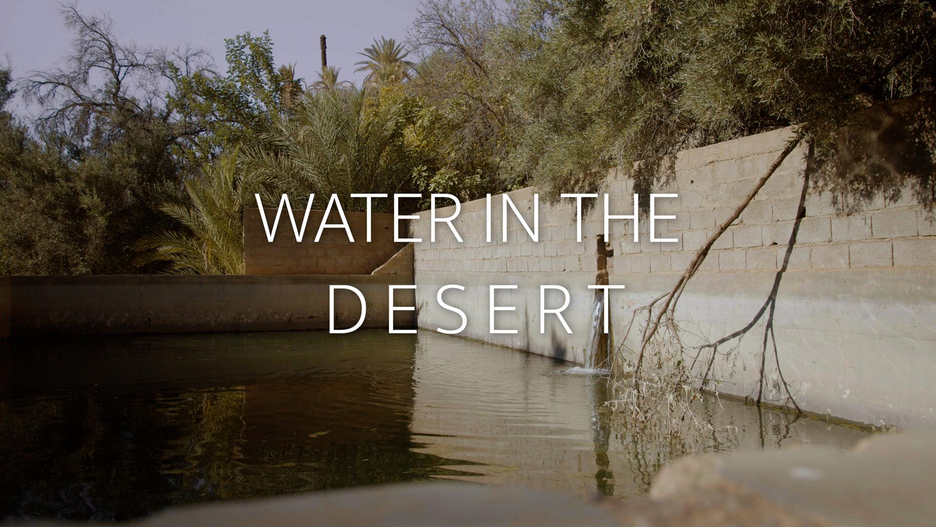 Water in the Desert