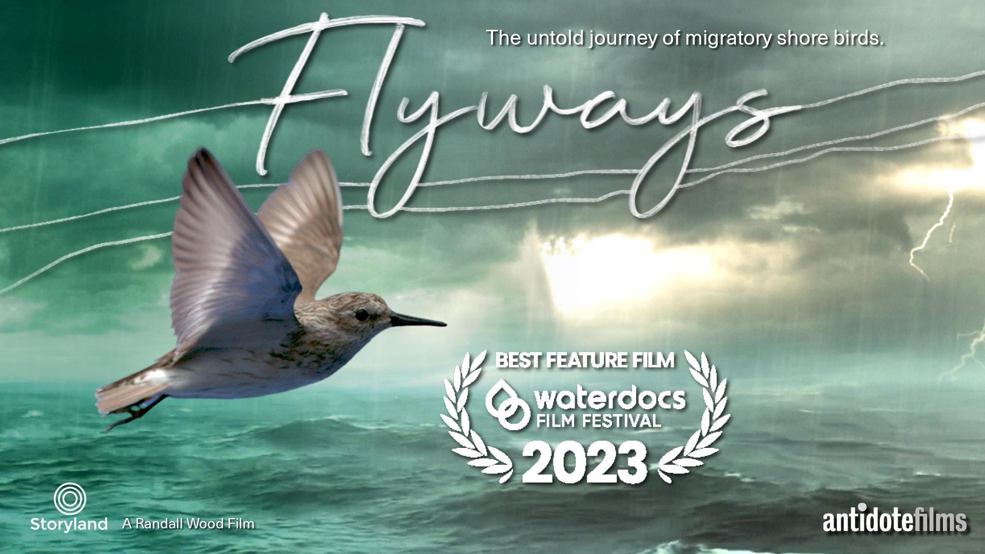 Flyways: the untold journey of migratory shorebirds